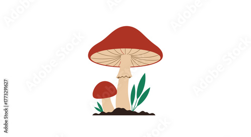A charming vector illustration depicting two wild mushrooms with vibrant red-brown caps and light stems, nestled in dark soil with surrounding green foliage.
