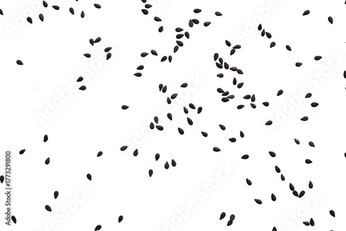 Konstfotografi Black sesame seeds isolated on white background