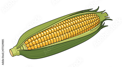 A vibrant illustration of a fresh ear of corn, partially shucked to display its plump, golden kernels and green husks, ready for a delicious meal.