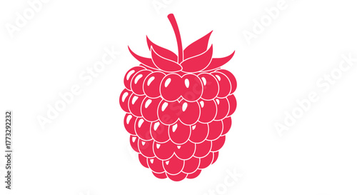 Simple vector illustration of a bright red raspberry, a globally recognized symbol often associated with technology and open-source computing.