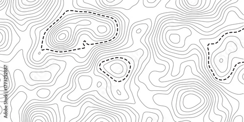 Topographic map lines background. Abstract vector illustration. Vector illustration.
