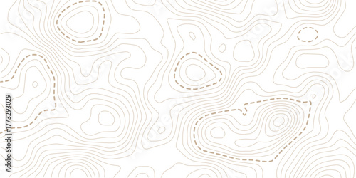 Topographic map lines background. Abstract vector illustration. Vector illustration.