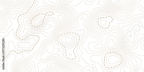 Topographic map lines background. Abstract vector illustration. White background topo 