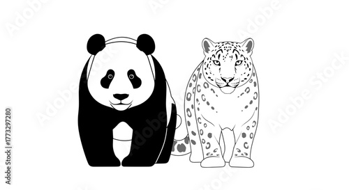 Illustration of panda bear and snow leopard wildlife animals black and white vector drawing design art print image