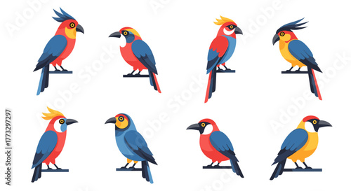 Collection of colorful parrots exotic birds vector illustration avian wildlife tropical bird species isolated design 100