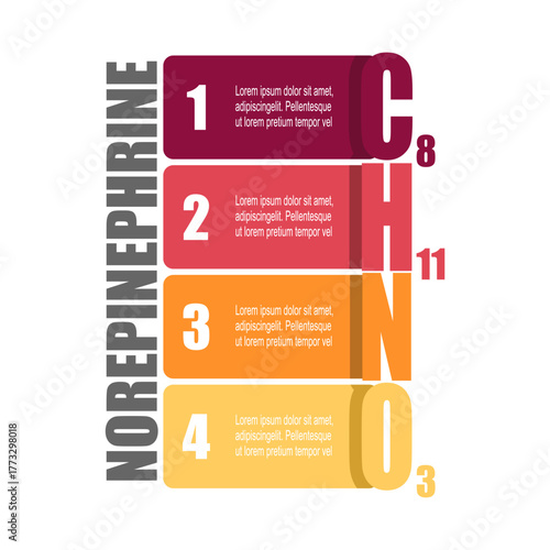 Chemical formula of hormone noradrenaline or norepinephrine with four features or option of project to select. Infographic for science and medical information visualization.