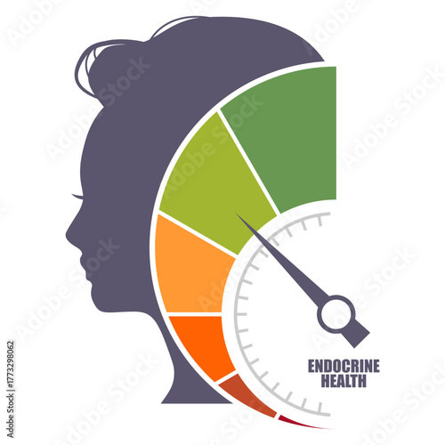 Endocrinology concept. Endocrine health measuring device with young woman face silhouette. Behavioral treatment research.