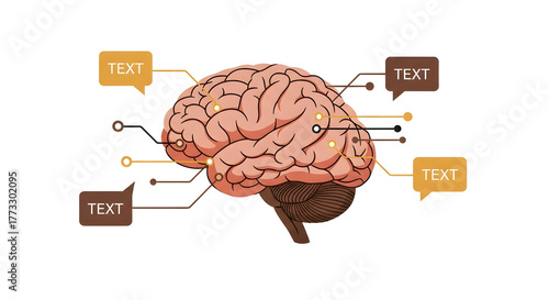 Human brain infographic with speech bubbles for thoughts ideas and communication