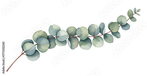 Watercolor vector wreath with green eucalyptus leaves and branches.