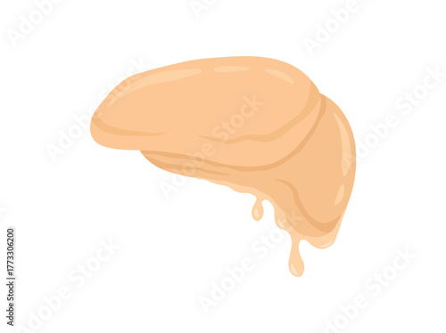 Kombucha Fermented Tea Scoby Illustration

