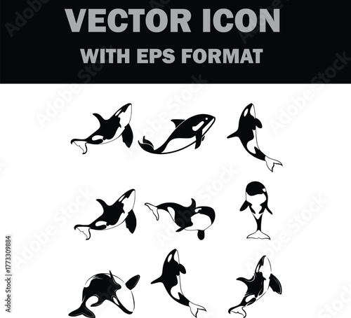 killer whale icon set