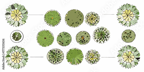 Collection of stylized top view plant illustrations for architectural landscaping and design projects