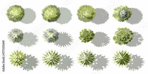 Collection of stylized green trees and shrubs viewed from directly above with distinct shadows