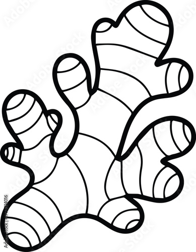 Ginger root hand-drawn black and white illustration