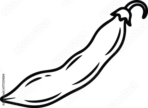 green bean pod outline vector icon