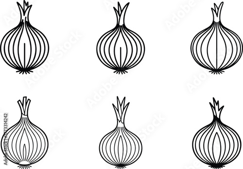 Onion bulb black and white vector illustration set