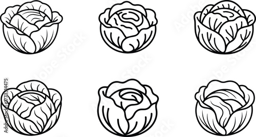 detailed cabbage head outline vector icons set, line art