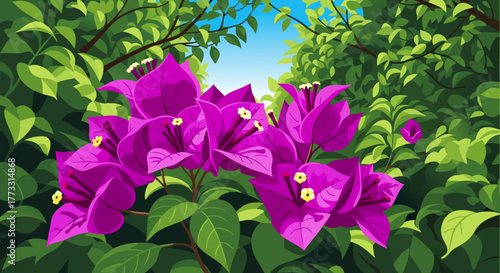 Vibrant magenta bougainvillea blossoms burst forth in a dense, green botanical setting, capturing the essence of a tropical garden in a detailed vector illustration
