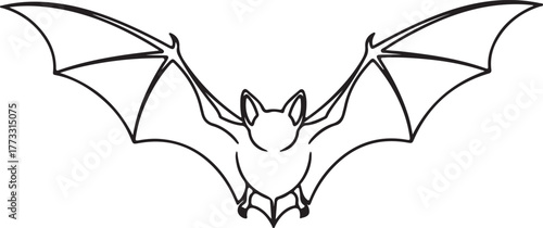 Black and White Bat Line Drawing – Frontal View with Spread Wings – Minimalist Vector Illustration for Halloween, Nature, and Educational Use