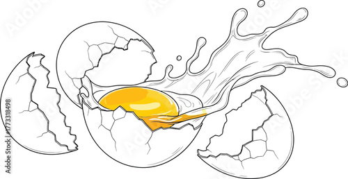 Cracked egg with yolk and splash illustration on a white background design