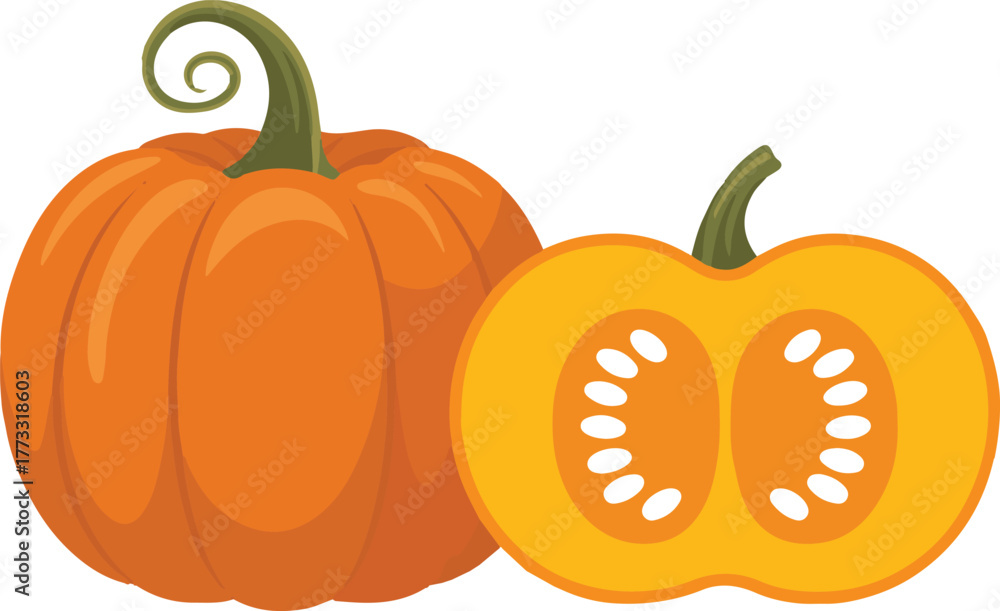 Obraz premium Cartoon Illustration Whole Orange Pumpkin with Curly Stem and a Pumpkin Half with Seeds