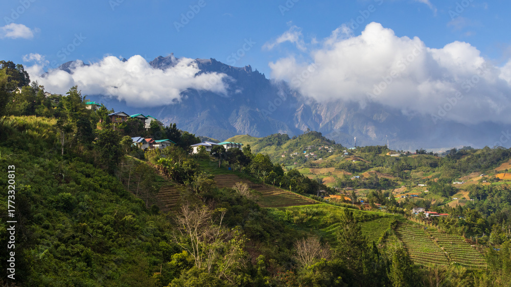 Fototapeta premium Mount kinabalu majestically dominating the lush green landscape of kundasang, sabah on a sunny, clear day with blue sky