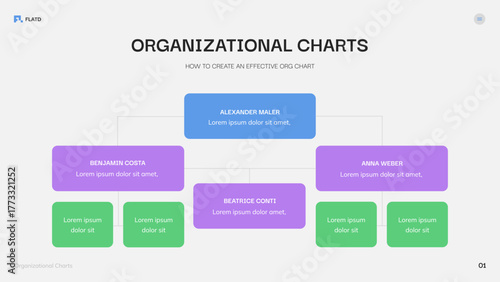 Organizational Chart