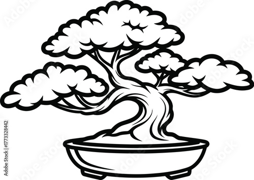 Elegant bonsai tree in a pot isolated on white background in a vector style