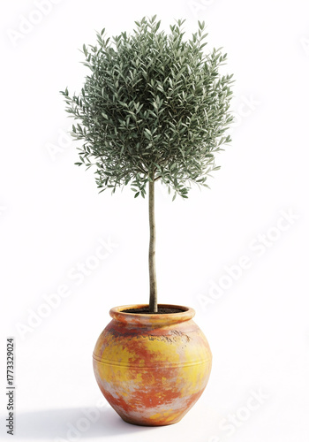 A small, leafy olive tree in a rustic, textured pot, isolated on a white background