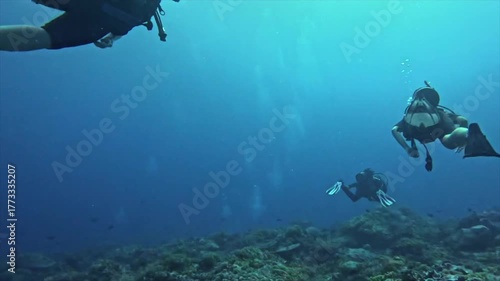 Wallpaper Mural Group of Female Scuba Divers Exploring Coral Reef Underwater, Paje Zanzibar Tanzania Torontodigital.ca