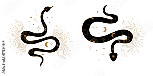 Stylized Kundalini snake vector collection inspired by sacred geometry and mystical power. Abstract serpent symbols of energy flow spiritual awakening balance and inner peace design. 