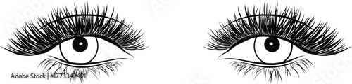 Hand drawn sketch Female women Beautiful eyelash extention eyebrows outline for cosmetic beauty makeup template design