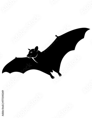 bat