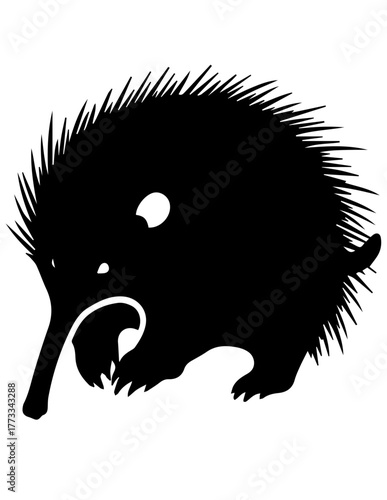 Echidnas