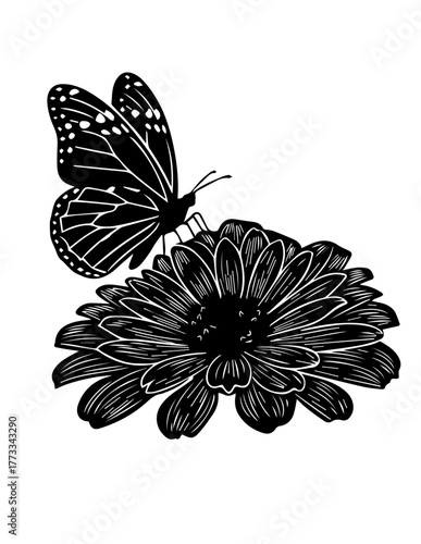 Monarch butterfly