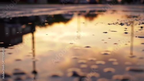 Golden Hour Reflection In A Puddle After Rain.