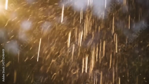 Golden Rain Drops Falling with Sun Flare and Bokeh Effect.