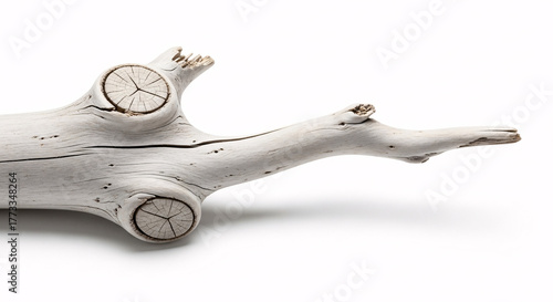 Weathered driftwood branch isolated on white background
