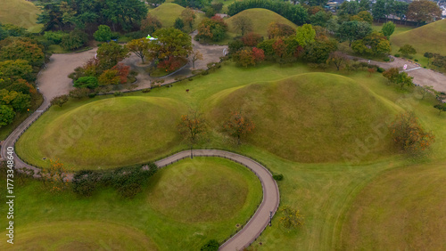 Wallpaper Mural Autumn of Daereungwon ancient tomb in Gyeongju, Korea Torontodigital.ca