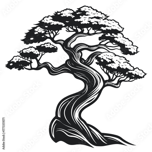 Bonsai tree vector illustration
