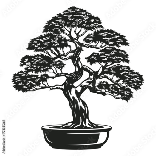 Bonsai tree vector illustration