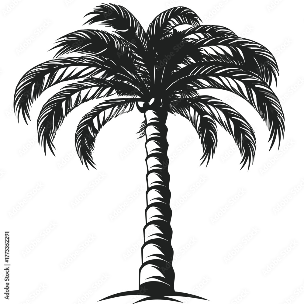 Fototapeta premium Palm tree black silhouette graphic element