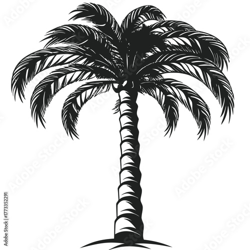 Palm tree black silhouette graphic element
