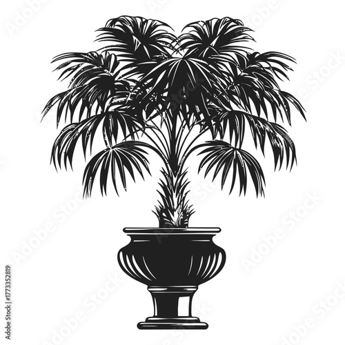 Palm tree in ornamental pot illustration