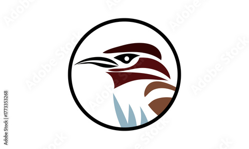 The Beauty of Birds