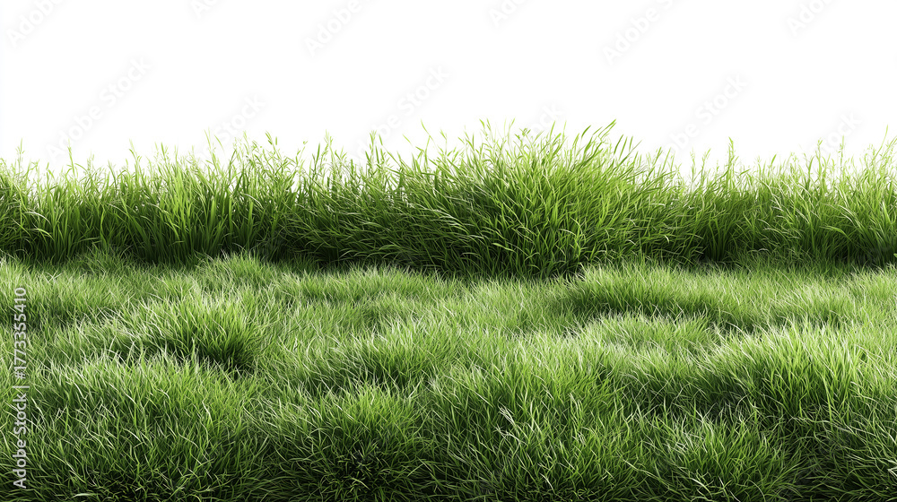 Fototapeta premium Lush green grass field seamless texture nature lawn