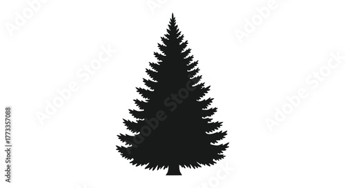 A tall dark and majestic evergreen pine tree depicted in a classic silhouette against a white background