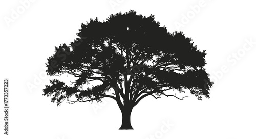 A detailed black silhouette of a large mature tree with a full canopy and intricate branches against a white background silhouette
