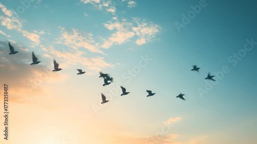 Birds flying in a clear blue sky at sunset with sunlight