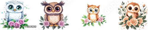 Cute owl surrounded by flowers and butterflies is illustrated in watercolor